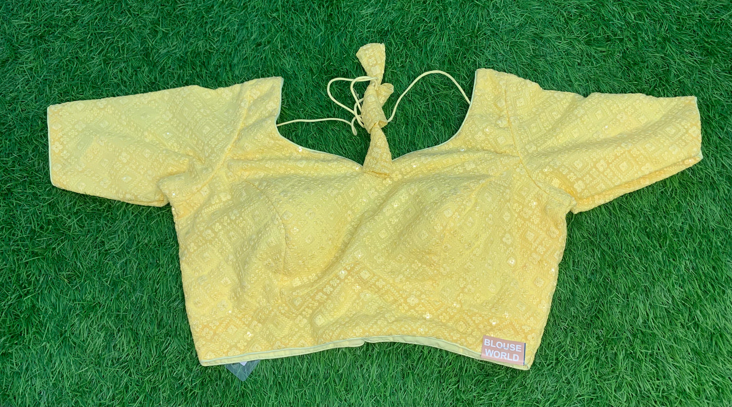 Chikan work blouse