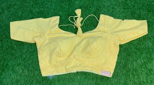 Chikan work blouse